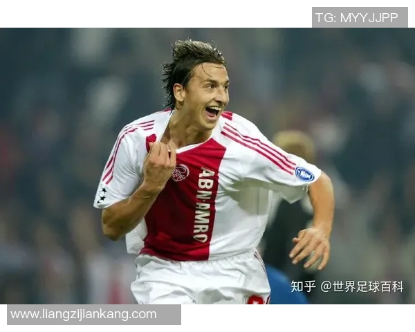 足球明星伊布的国籍揭秘及其对足球的影响分析