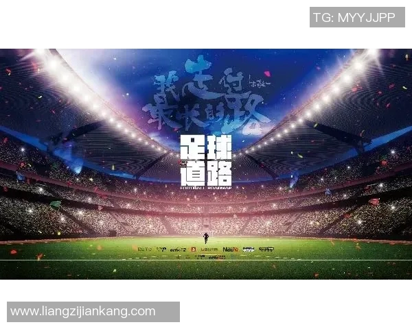 足球明星背后的故事与荣耀纪录片探秘他们的奋斗与成就